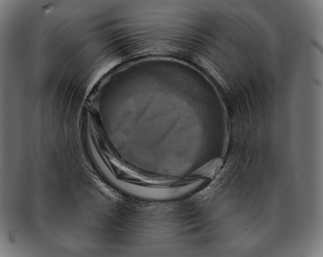 X0000091711026200709210937