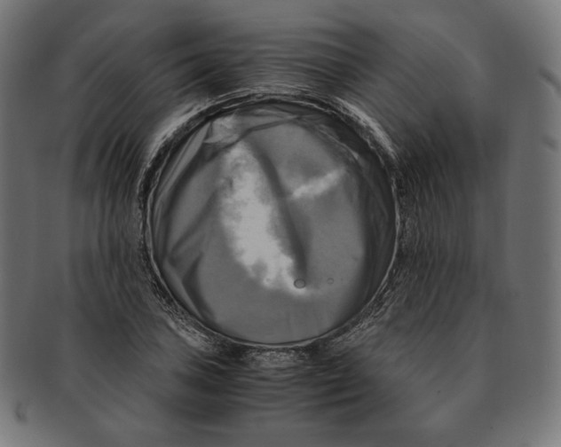 X0000091711027200709210937