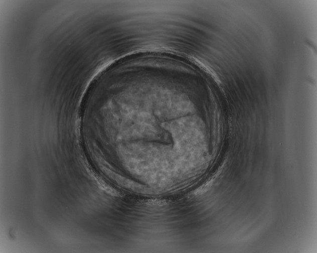 X0000091711029200709210937