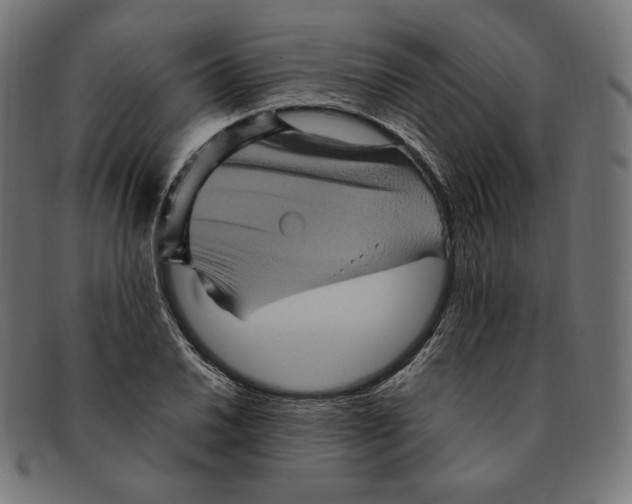 X0000091711030200709210937