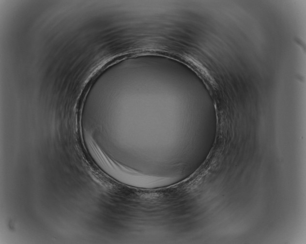 X0000091711031200709210937