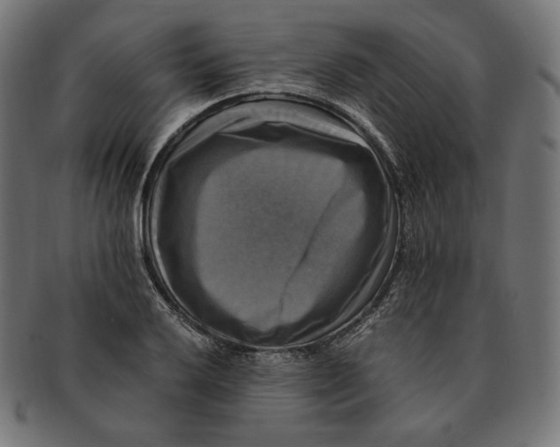 X0000091711032200709210937