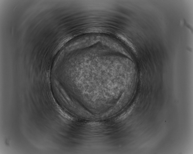 X0000091711033200709210937