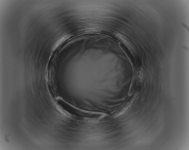 X0000091711034200709210937