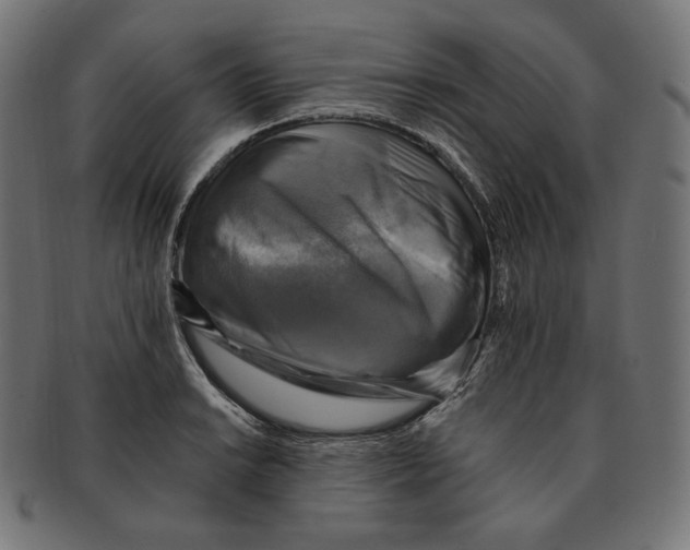 X0000091711038200709210938