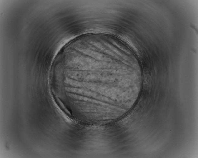 X0000091711040200709210938