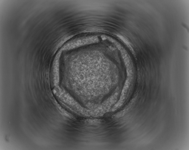 X0000091711041200709210938