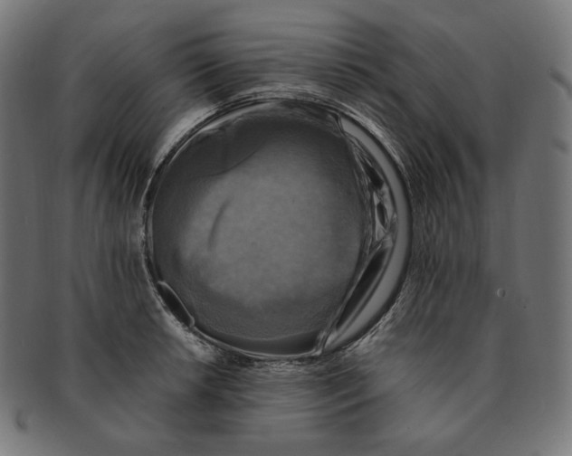 X0000091711042200709210938