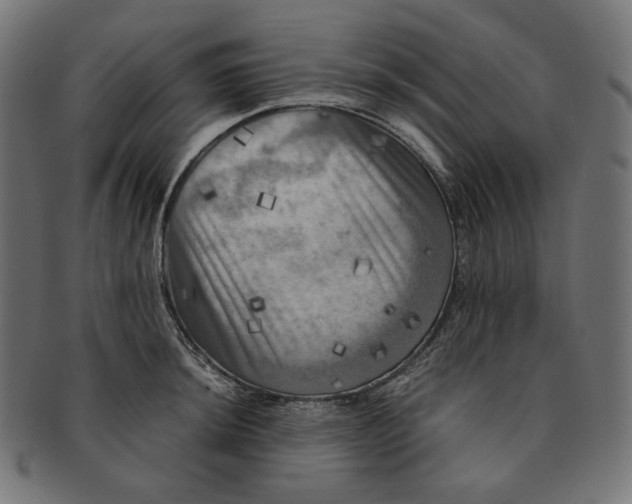 X0000091711044200709210938