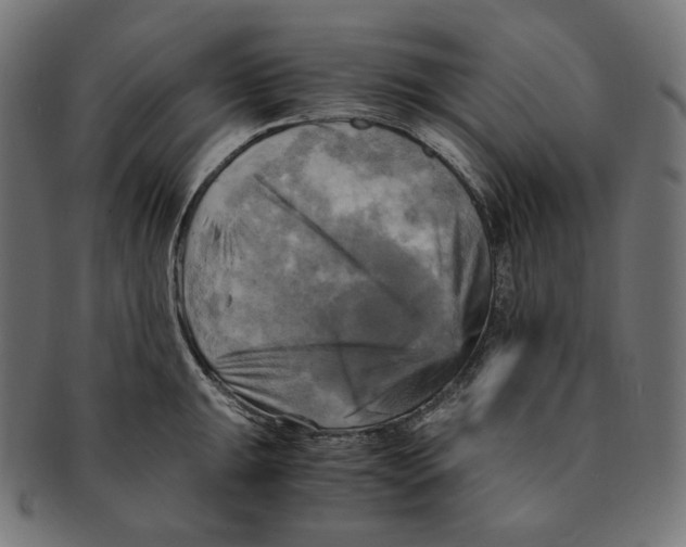 X0000091711047200709210938