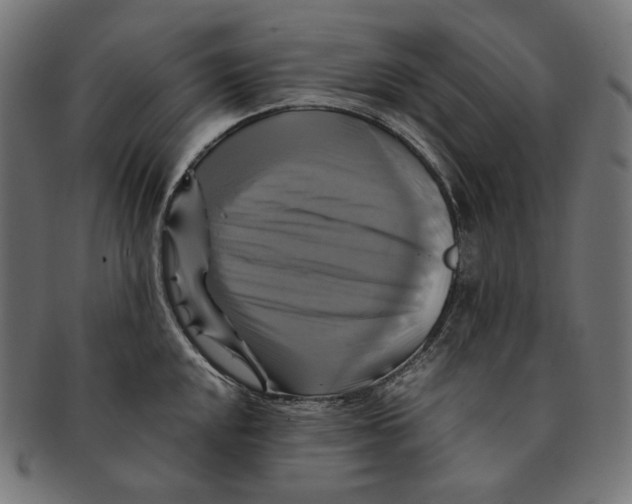 X0000091711048200709210938