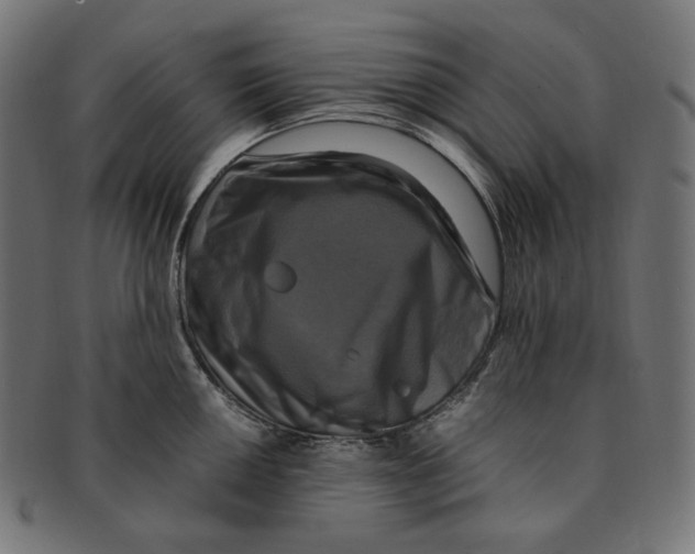 X0000091711050200709210938