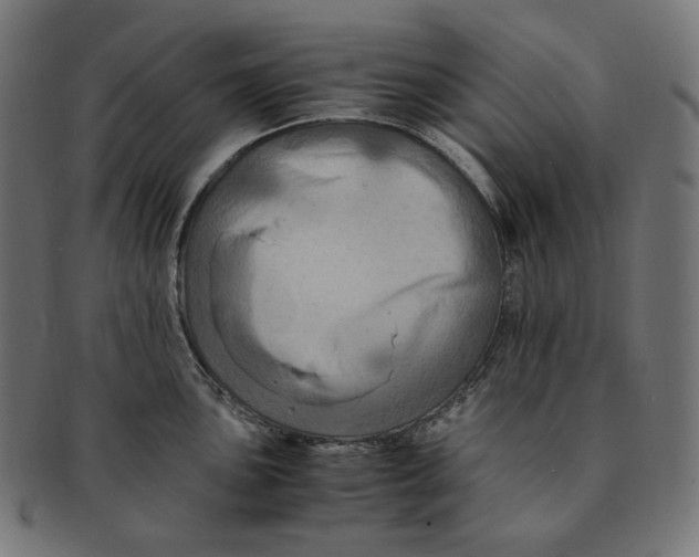 X0000091711051200709210938