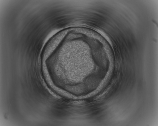 X0000091711053200709210938