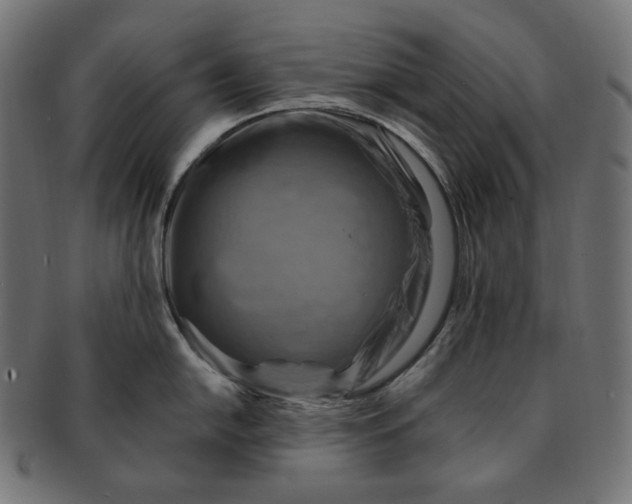 X0000091711054200709210938