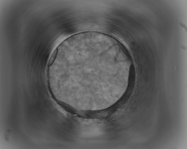 X0000091711056200709210938