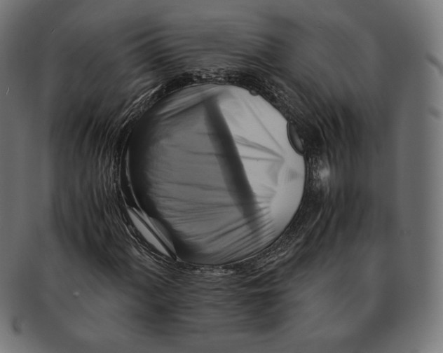 X0000091711060200709210937