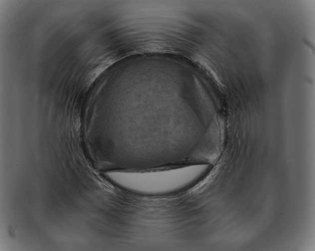 X0000091711065200709210937