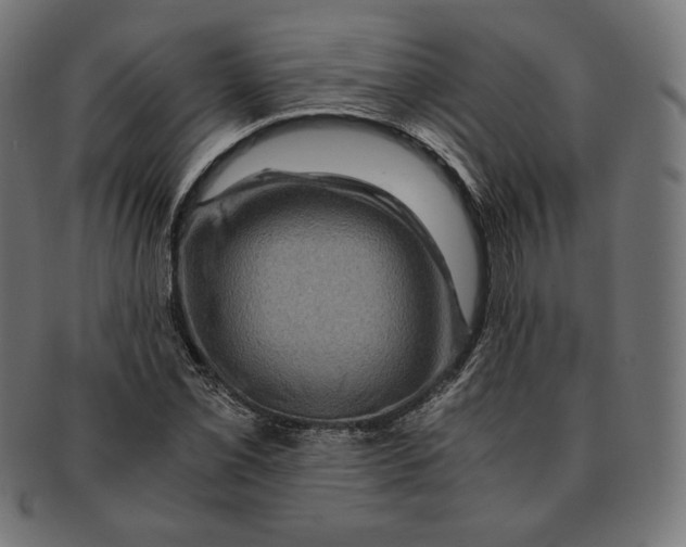 X0000091711069200709210937