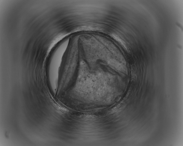 X0000091711070200709210937