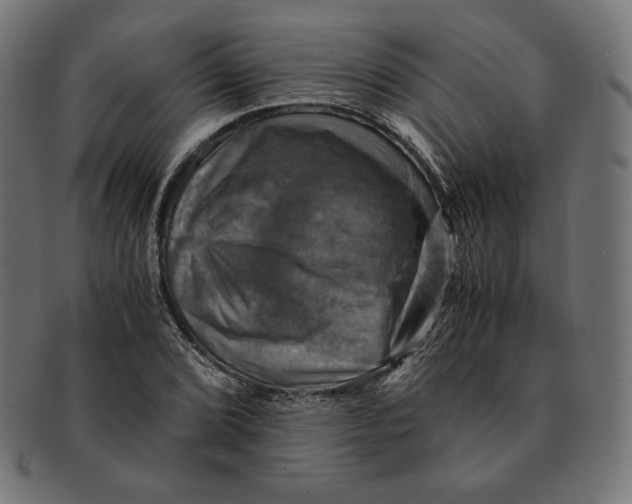 X0000091711072200709210937