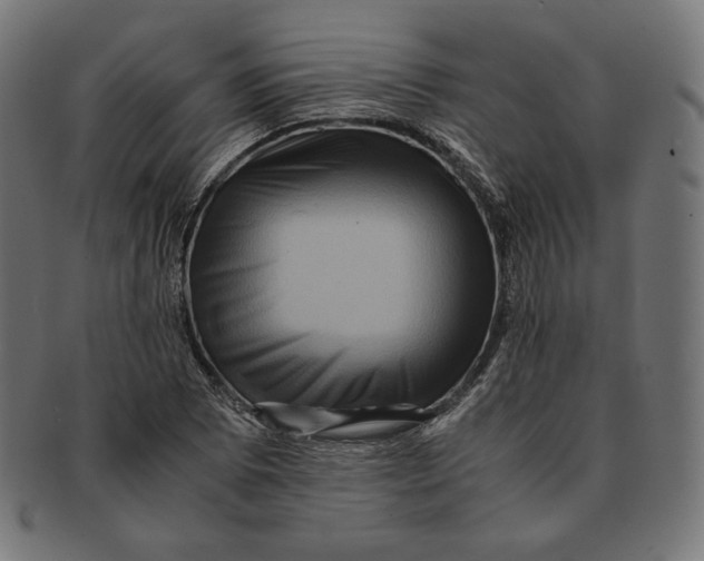 X0000091711073200709210937