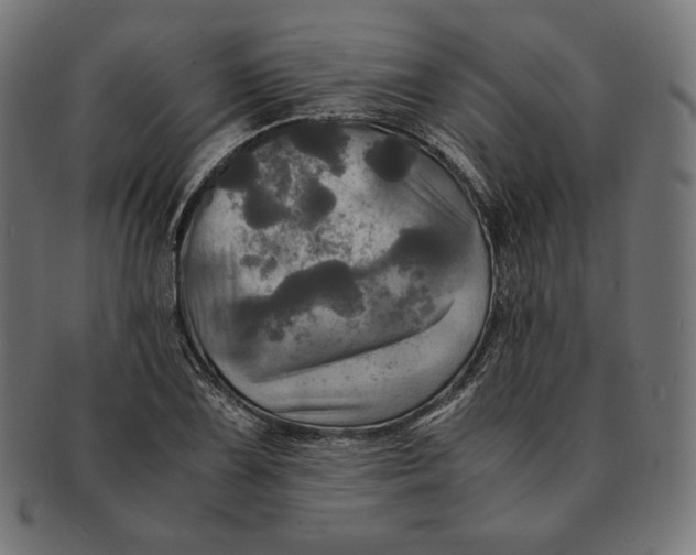 X0000091711075200709210937