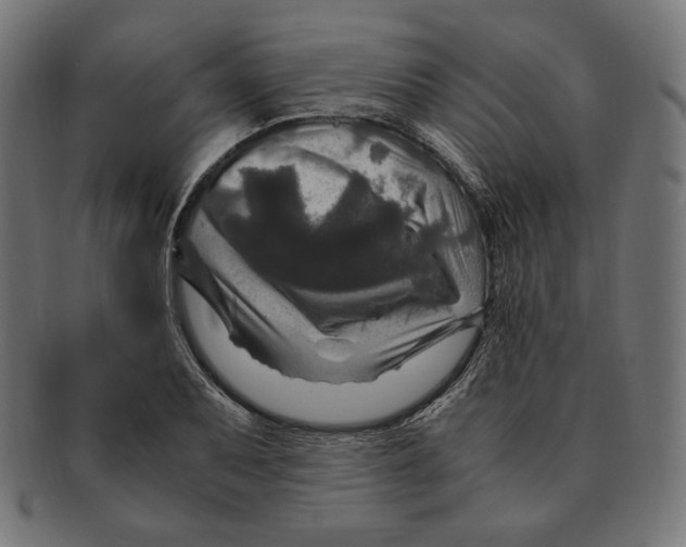 X0000091711079200709210937