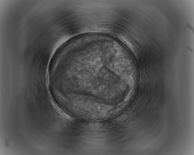 X0000091711080200709210937