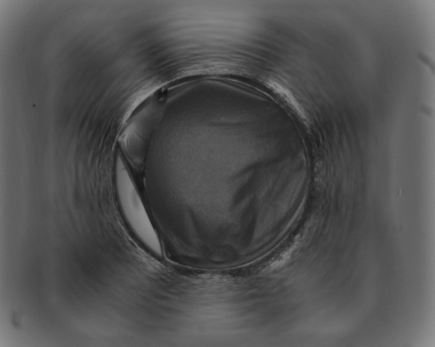 X0000091711081200709210937