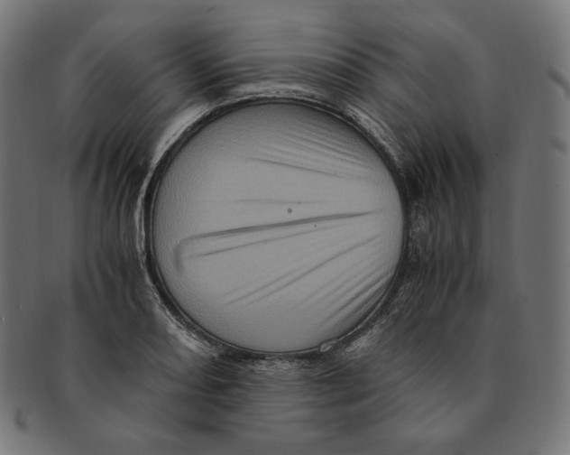 X0000091711082200709210937