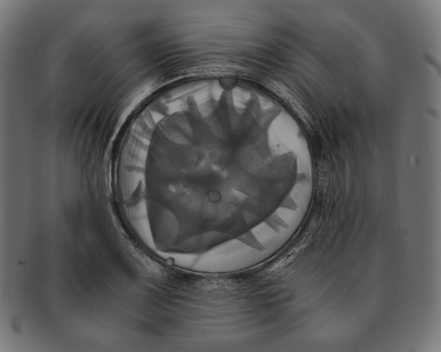 X0000091711083200709210937