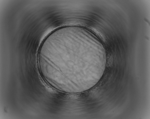 X0000091711086200709210937