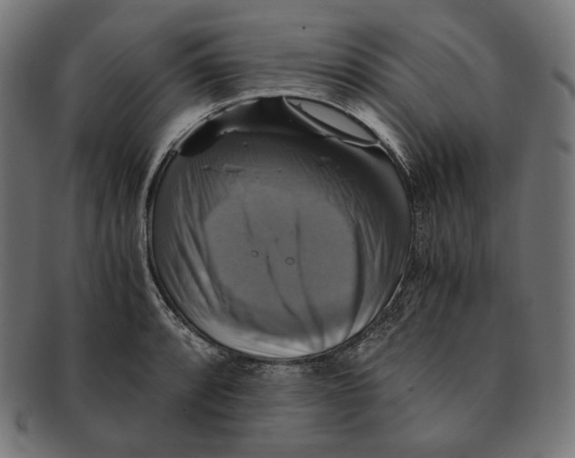 X0000091711088200709210937