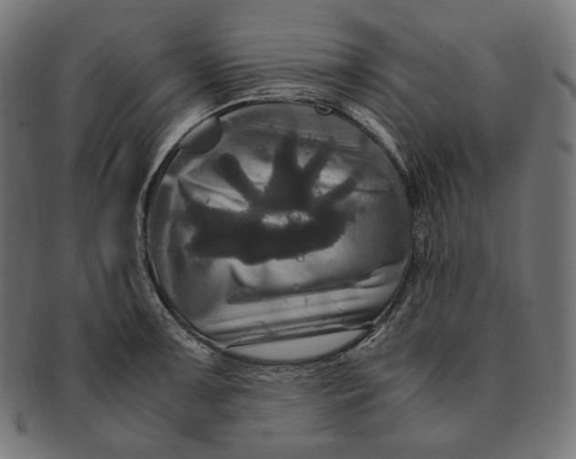 X0000091711091200709210937