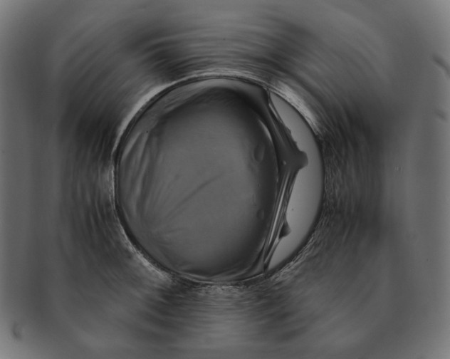 X0000091711092200709210937