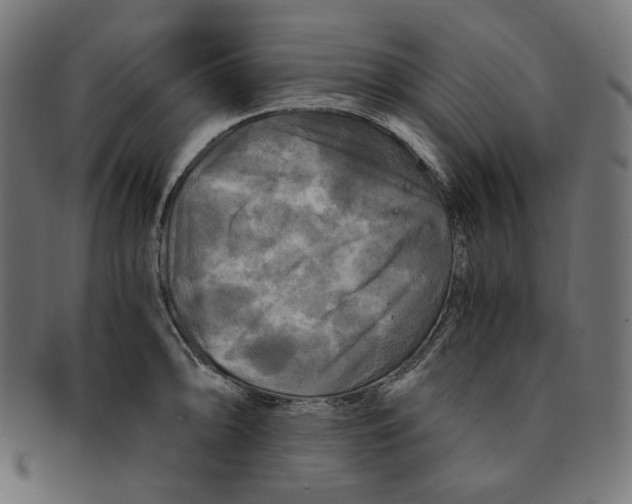 X0000091711094200709210937