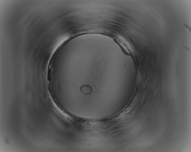 X0000091711095200709210937