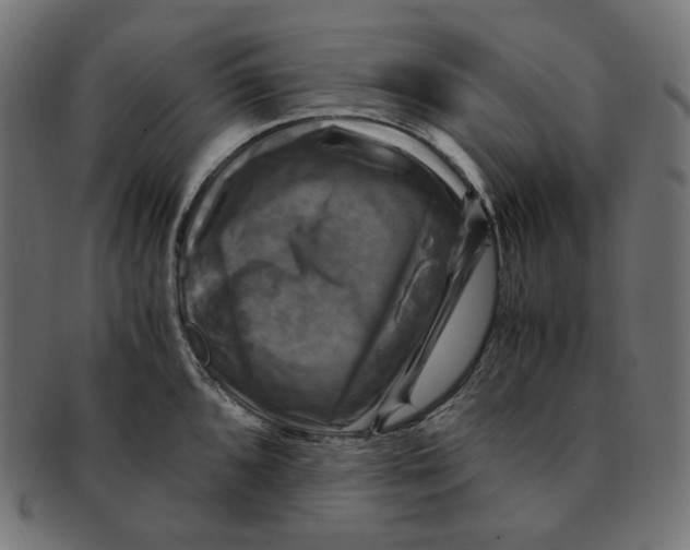 X0000091711096200709210937