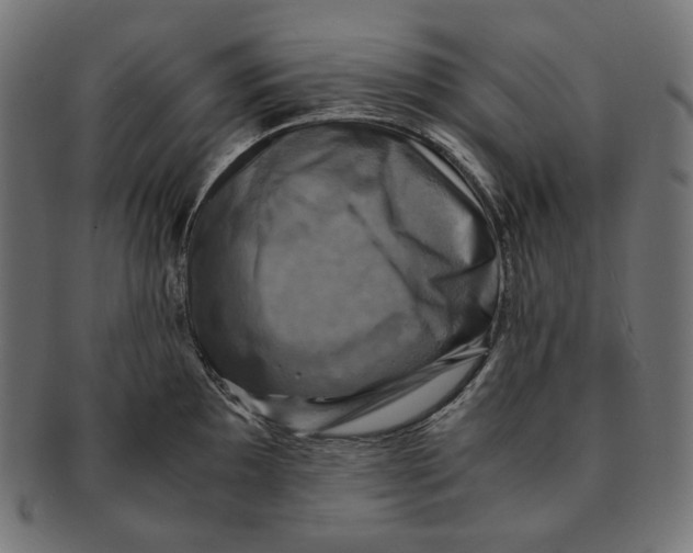 X0000091711097200709210937