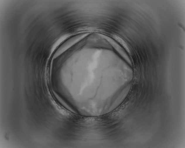 X0000091711098200709210937