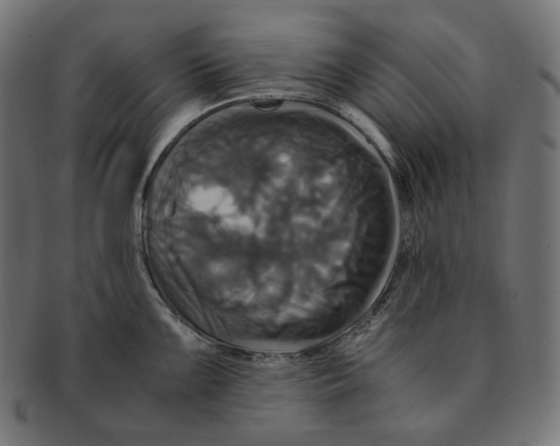 X0000091711099200709210937