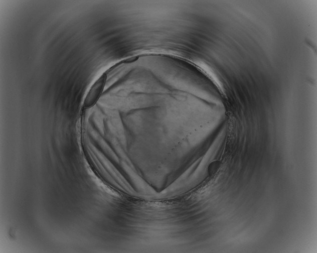 X0000091711100200709210937