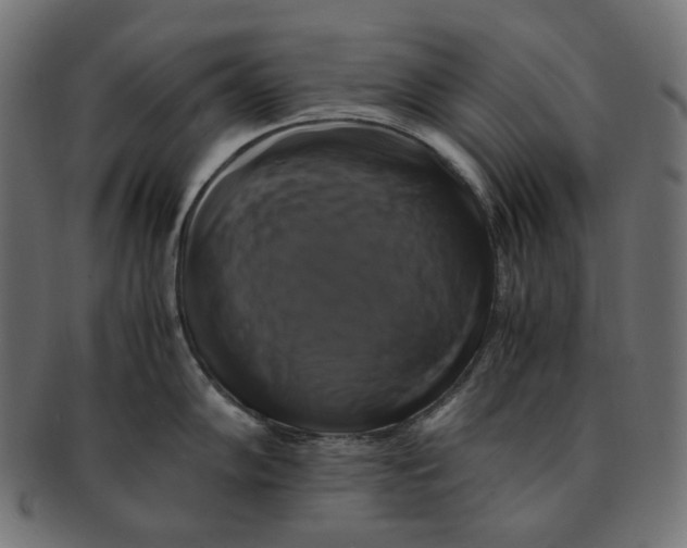 X0000091711102200709210937