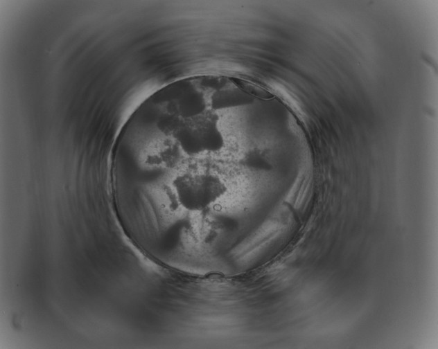 X0000091711103200709210937