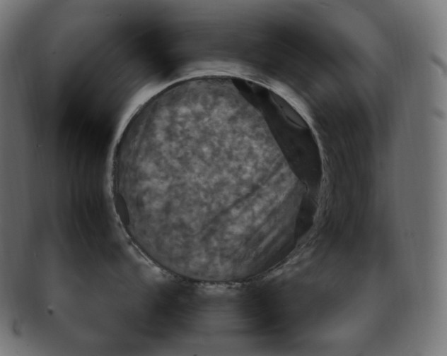 X0000091711104200709210937