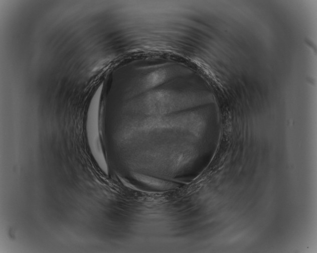 X0000091711110200709210936