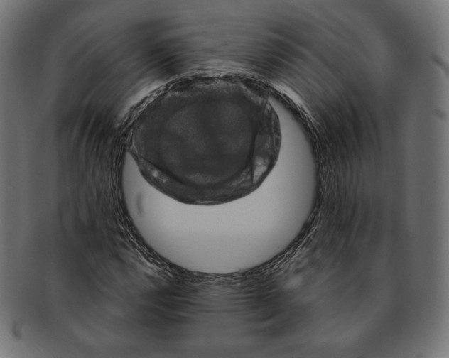 X0000091711112200709210936