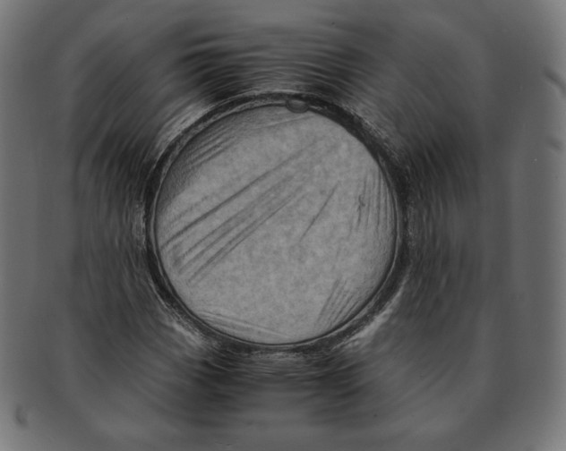 X0000091711113200709210936