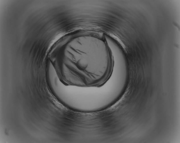 X0000091711114200709210936